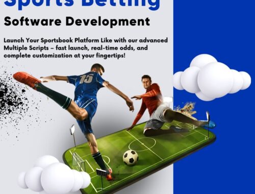 sports-betting-software-development-25-11-2025-3